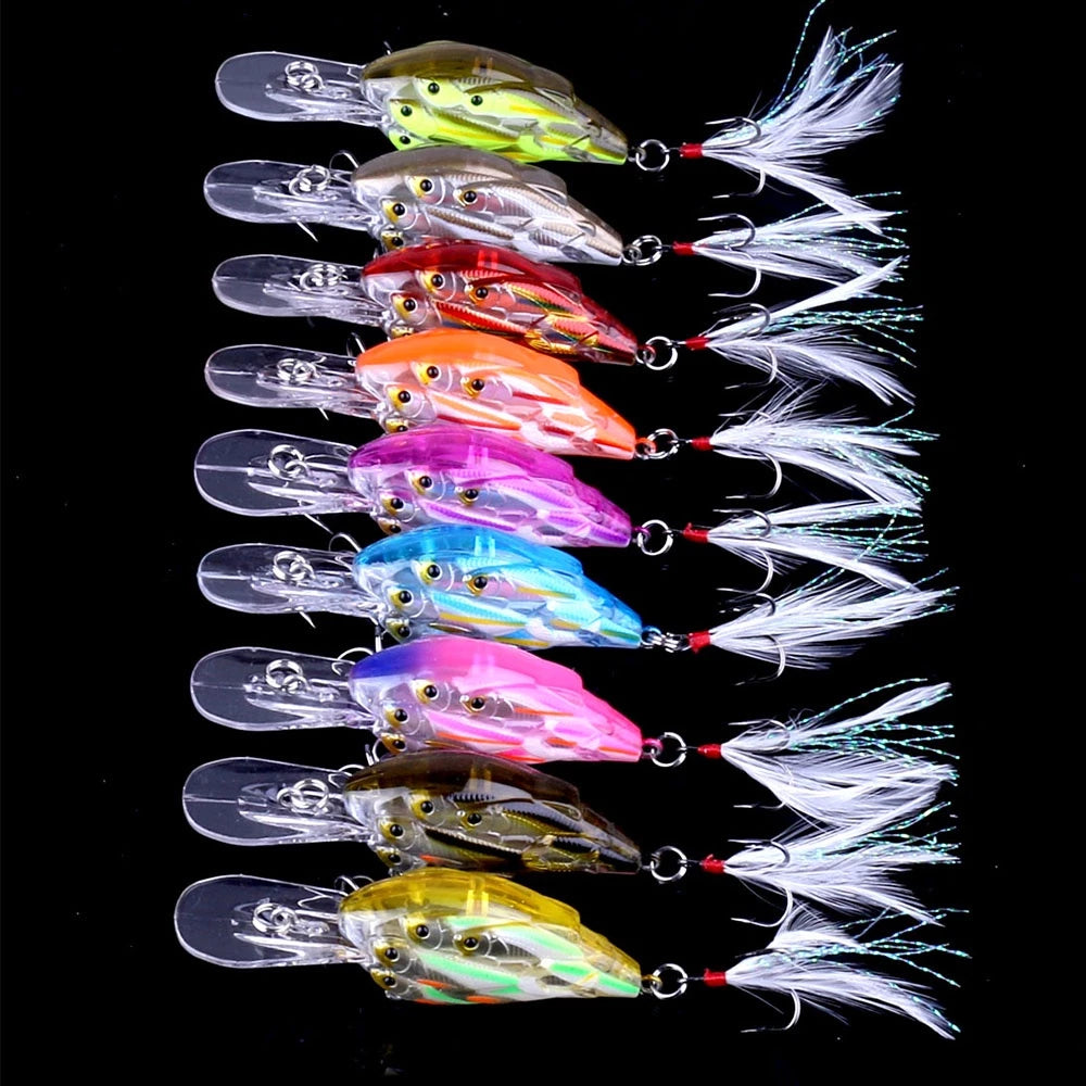 Zyron Splash Four