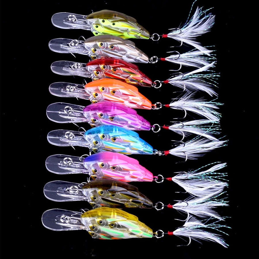 Zyron Splash Four