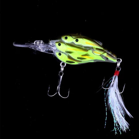Zyron Splash One