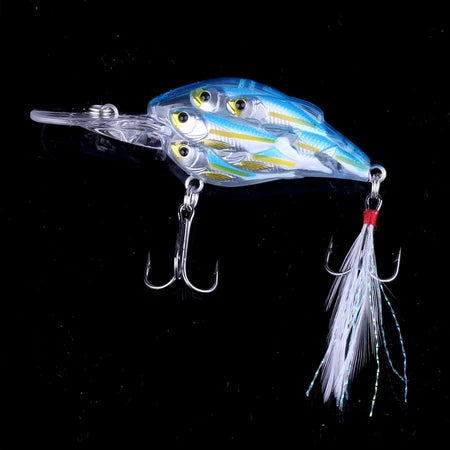 Zyron Splash Five